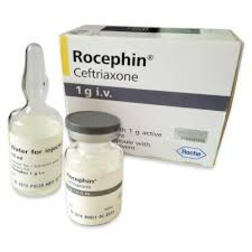 Rocephin 1g Powder for IV Injection (1 Vial)
